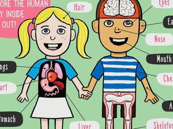 MyAmazingBody_Martin_Sanders-1 My Amazing Body by Martin & Sanders