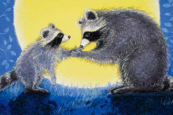Parent & child raccoon illustration