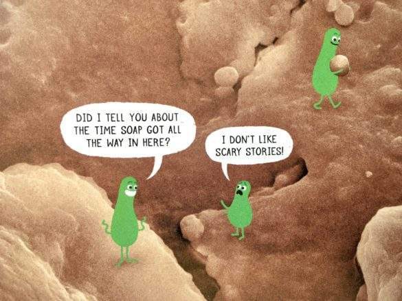 corynebacterium in 'Do not lick this book '