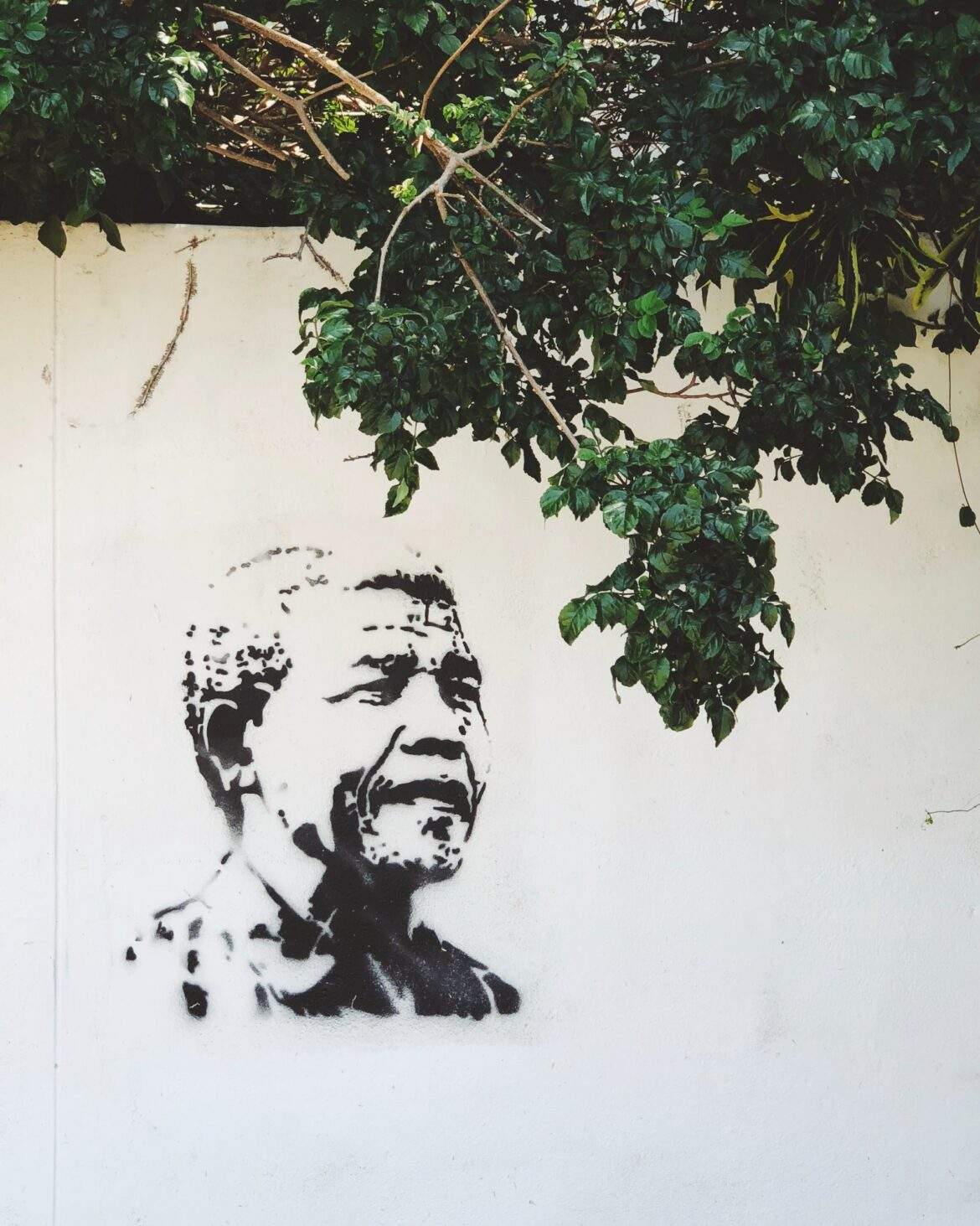 graffiti stencil of nelson mandela