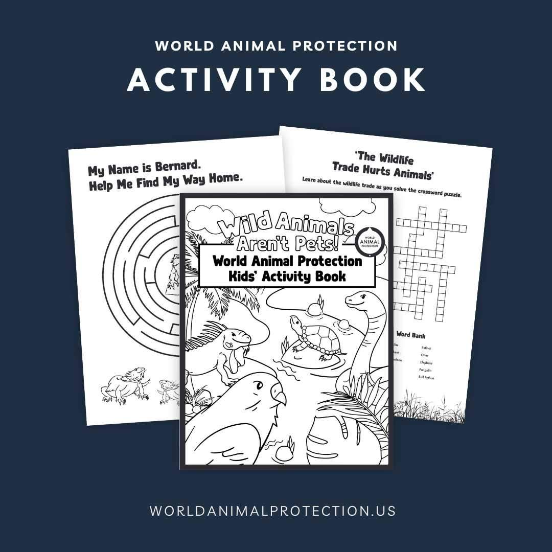 wild animals aren't pets world animal protection kids activity book