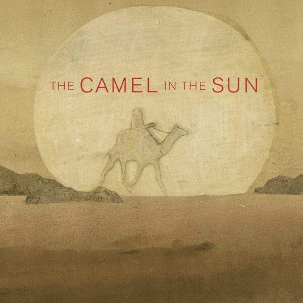 camel in the sun
