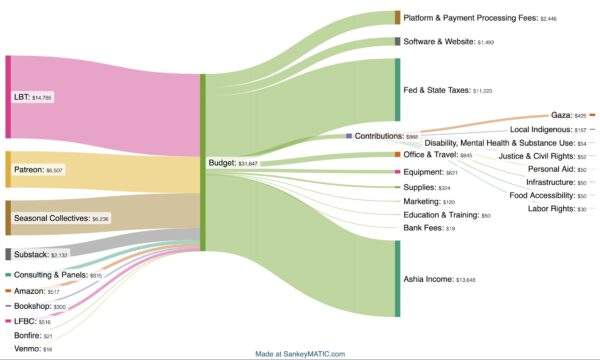 2024 Raising Luminaries sankey chart financials