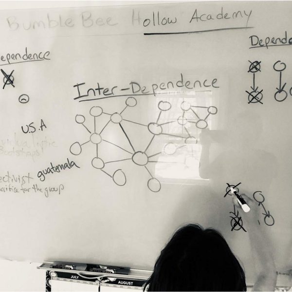 child drawing diagrams of independence, interdependence, and dependence