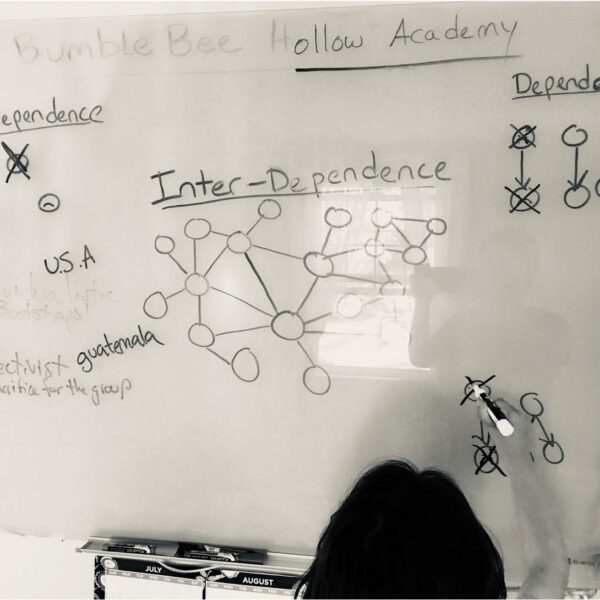 child drawing diagrams of independence, interdependence, and dependence
