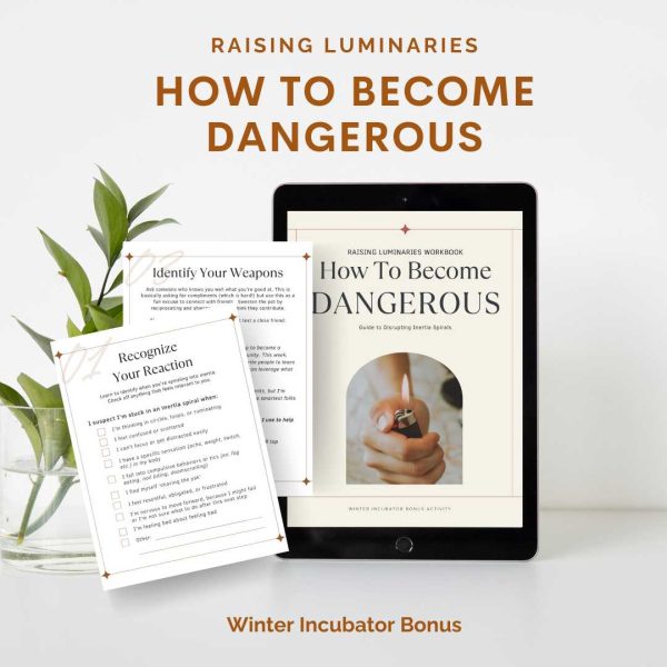 how to become dangerous workbook